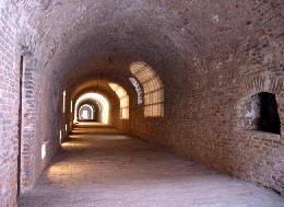 1156315847-n.jpg