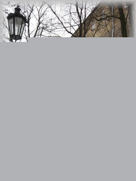 inka--brno-dalsi-zajimavosti-spilberk-2007-05.jpg