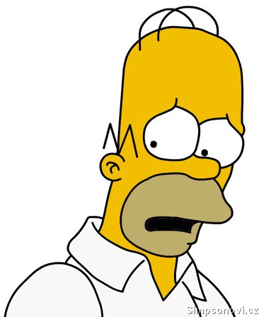 homer095.jpg