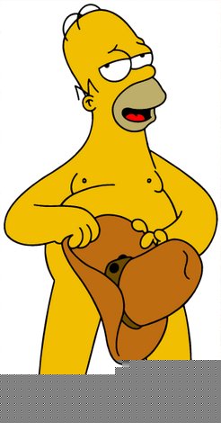 homer098.jpg
