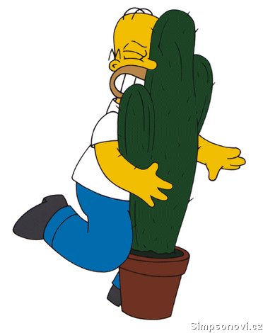 homer131.jpg