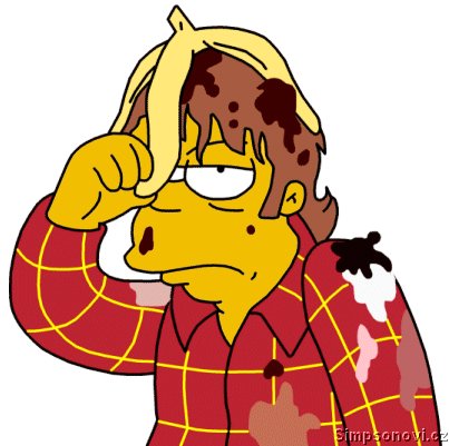 homer108.jpg